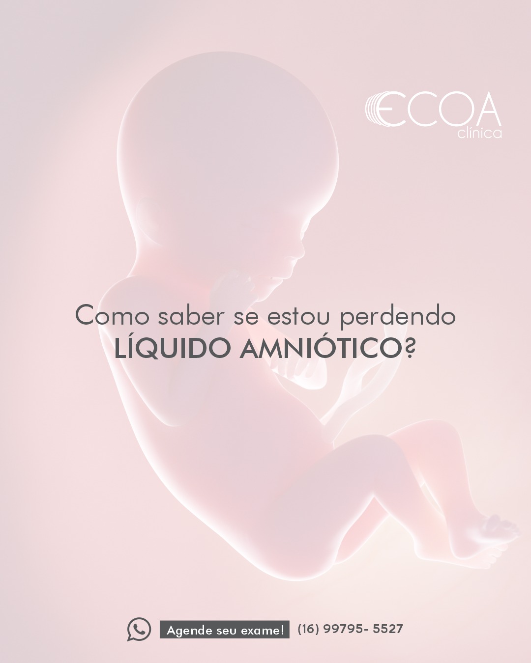 Como saber se estou perdendo Líquido Amniótico? – Clínica Ecoa
